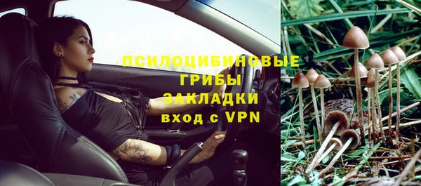 ALPHA PVP Киреевск