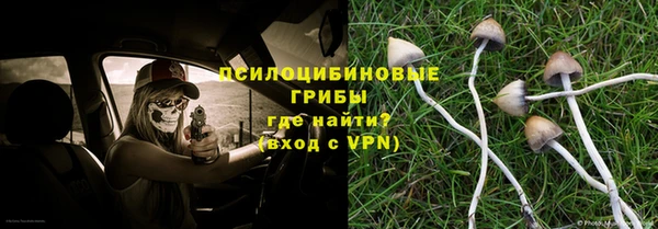 эйфоретик Кинешма