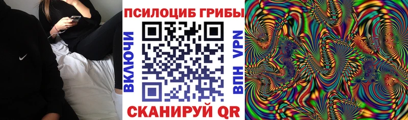 купить   Орск  Псилоцибиновые грибы мухоморы 