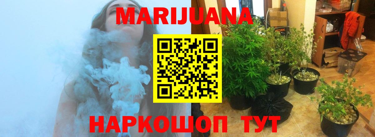 Каннабис ГИДРОПОН  Вход с VPN  Орск  Канабис Amnesia  Марихуана планчик 